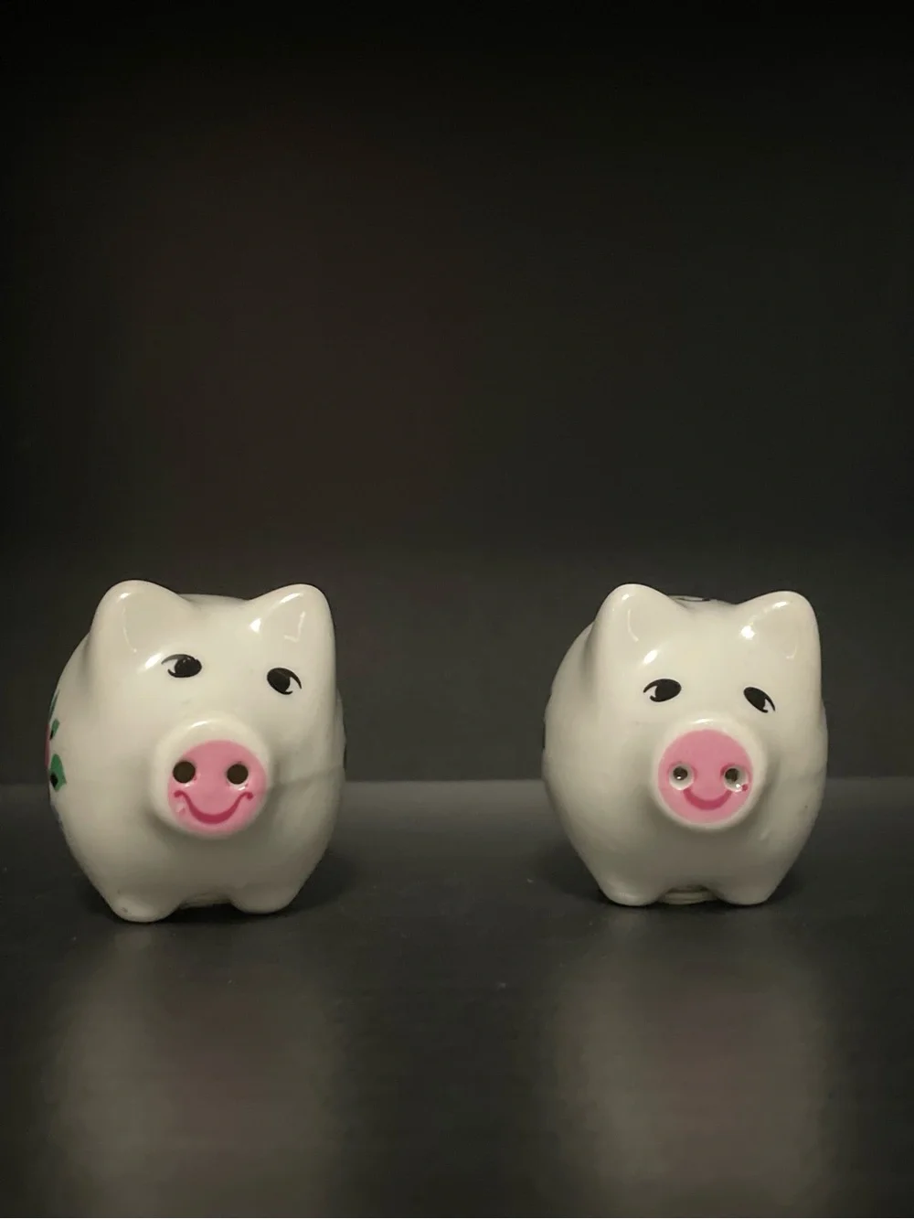 Vintage Ceramic Pig Salt and Pepper Shaker Set - Floral White